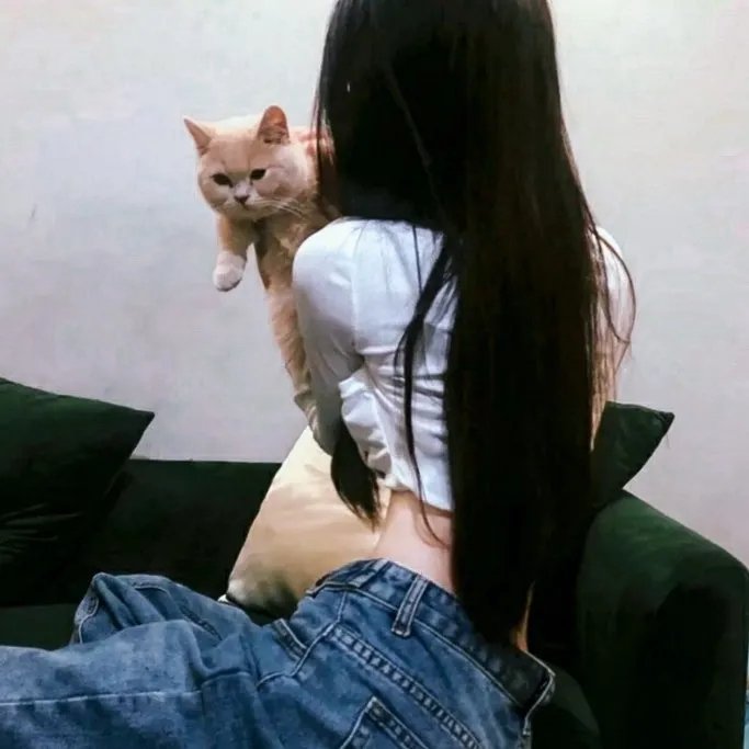 第三次婚礼 海报